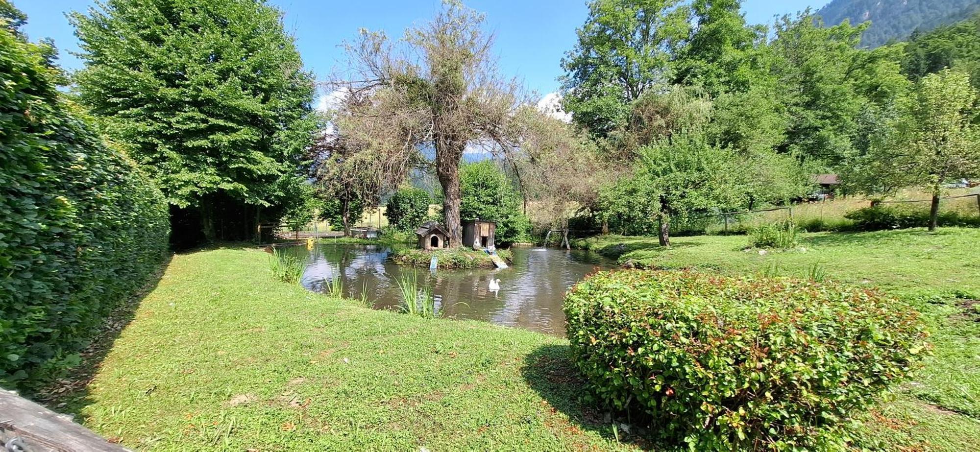 Ferienwohnungen Schloss Wasserleonburg Нёч Экстерьер фото
